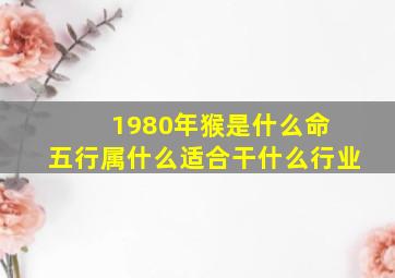 1980年猴是什么命 五行属什么适合干什么行业